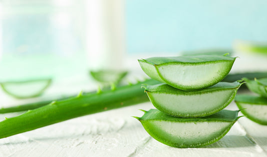 Aloe Vera: Benefits, Uses, Dosage & Side Effects