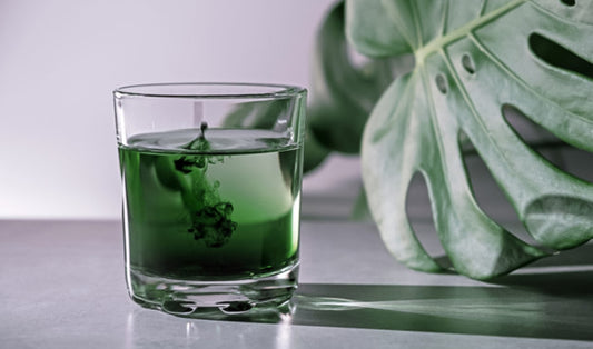 liquid chlorophyll 